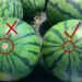 Tips For Choosing Ripe Watermelons With Red Flesh, Sweet, And Paper-Thin Flesh