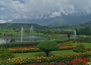 Srinagar: Home To 120 Parks & J&K’s Largest Floriculture Area