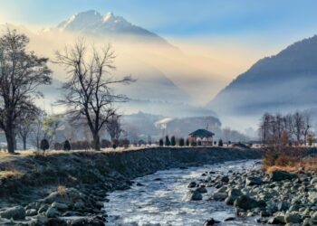 Don’t Sacrifice Mountains & Forests for Srinagar-Pahalgam Road: EPG Warns