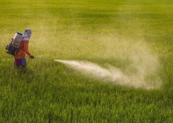 Cancer Risk Increases with Continuous Pesticide Use in Orchards, Doctors Warn