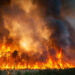 Israel Faces National Danger Amid Raging Wildfire