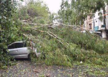 Two Killed As Fierce Windstorm Wreaks Havoc Across Kashmir