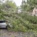 Two Killed As Fierce Windstorm Wreaks Havoc Across Kashmir