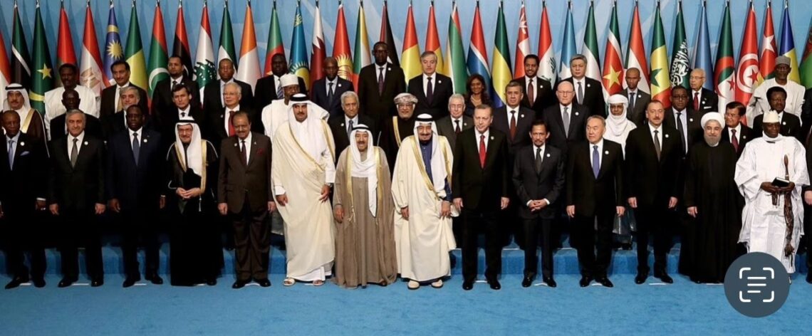Arab, Islamic Countries Urge Israel To End ‘Hostilities’ Against Iran