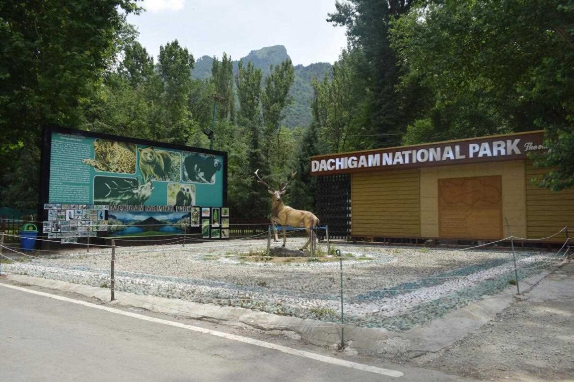 Dachigam National Park Tops Country in National Evaluation