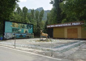 Dachigam National Park Tops Country in National Evaluation