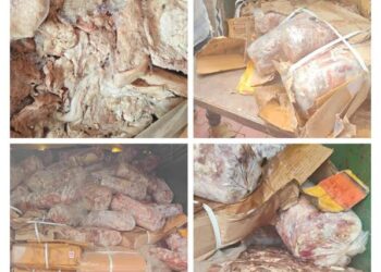 1.2 Tonne Rotten Meat Seized in Srinagar; KCCI Blasts Food Safety Failure