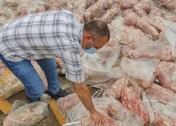 Rotten Meat Scandal: FDA Lists Violators, Food Licences Of 9 Dealers Suspended
