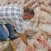 Rotten Meat Scandal: FDA Lists Violators, Food Licences Of 9 Dealers Suspended