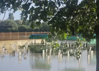 Several Graves Damaged as Noorbagh Graveyard Flooded