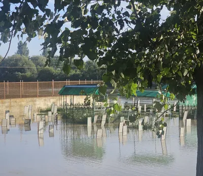 Several Graves Damaged as Noorbagh Graveyard Flooded
