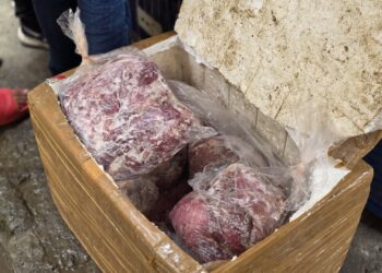 340 Kg Unlabelled, Unbranded Meat Seized at Srinagar Airport