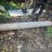 Shell That Exploded In Dal Lake During Op Sindoor Found During Cleanup