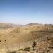 Pakistan Announces 48-Hour Ceasefire With Afghanistan
