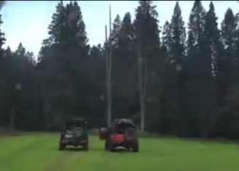 Influencers Booked for Driving on Fragile Meadows in Budgam