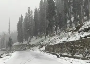 Kashmir’s Upper Reaches Receive Fresh Snowfall, Rains Lash Plains