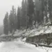 Kashmir’s Upper Reaches Receive Fresh Snowfall, Rains Lash Plains