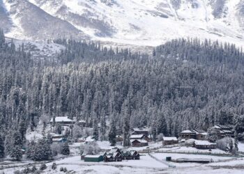 Snowfall, Rain Break Prolonged Dry Spell Across Kashmir