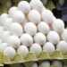 J&K Govt Orders Probe Into Alleged Adulterated Eggs in Market