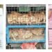 119 Dead Chickens With ‘Clean’ Certificate Shake Kashmir’s Food Safety Claims 