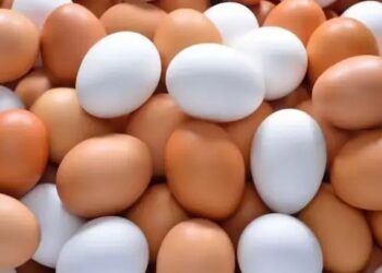 Eggs Safe for Consumption; Cancer Risk Claims Unfounded, Says FSSAI
