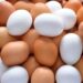 Eggs Safe for Consumption; Cancer Risk Claims Unfounded, Says FSSAI