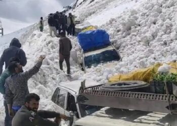 7 Dead, 5 Injured as Avalanches Strike Srinagar-Leh Highway