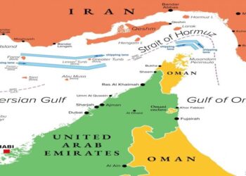 Iran Drafting Proposal With Oman To ‘Monitor’ Strait of Hormuz