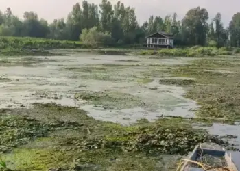 CAG Warns of Hokersar Lake’s Ecological Collapse, Flags Massive Encroachment