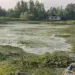 CAG Warns of Hokersar Lake’s Ecological Collapse, Flags Massive Encroachment