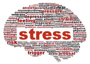 Unemployment, Academic Pressure, Financial Instability Drive Stress Surge in Kashmir: Experts