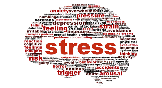 Unemployment, Academic Pressure, Financial Instability Drive Stress Surge in Kashmir: Experts
