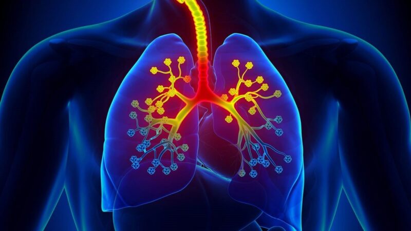Asthma is a Lifelong Disease, Needs Consistent Medical Care: Experts