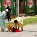 Dog Killing Video Triggers FIR, Public Debate Over Stray Dog Attacks in Kashmir