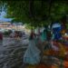 Two Hour Downpour Paralyses Srinagar, Woman Electrocuted, Streets Flooded