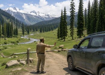 Forest Dept Bans Camping, Off-Roading at Four Kashmir Tourist Spots