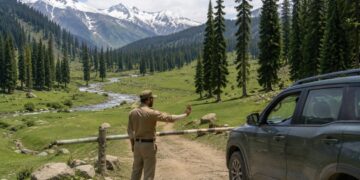 Forest Dept Bans Camping, Off-Roading at Four Kashmir Tourist Spots